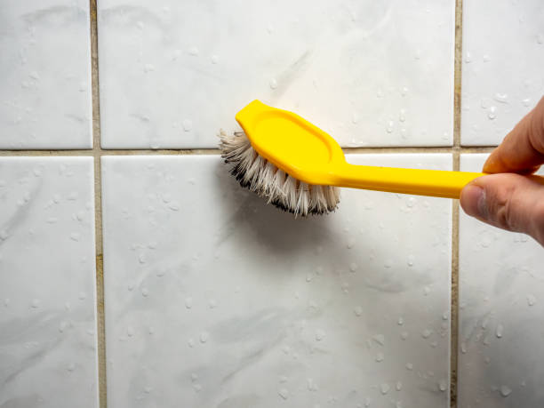 Best Same-Day Mold Removal  in Echelon, NJ