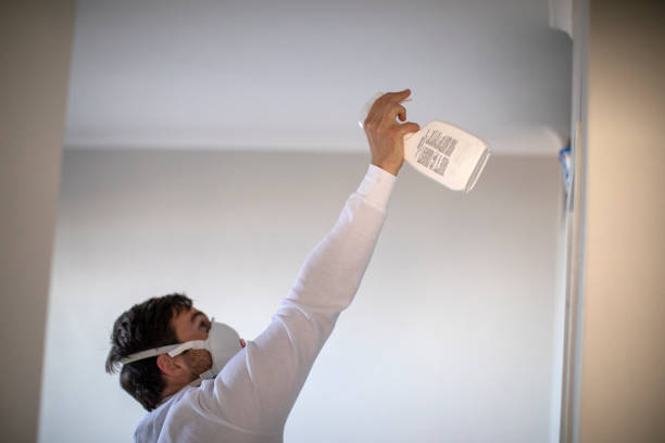 Best Mold Testing  in Echelon, NJ