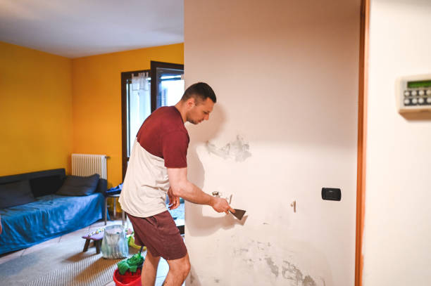Best Attic Mold Removal  in Echelon, NJ